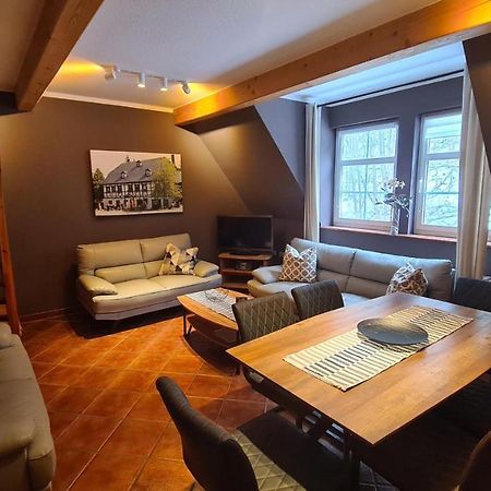 Appartements Im "Landhaus Am Frohnauer Hammer" Аннаберг-Бухгольц Экстерьер фото