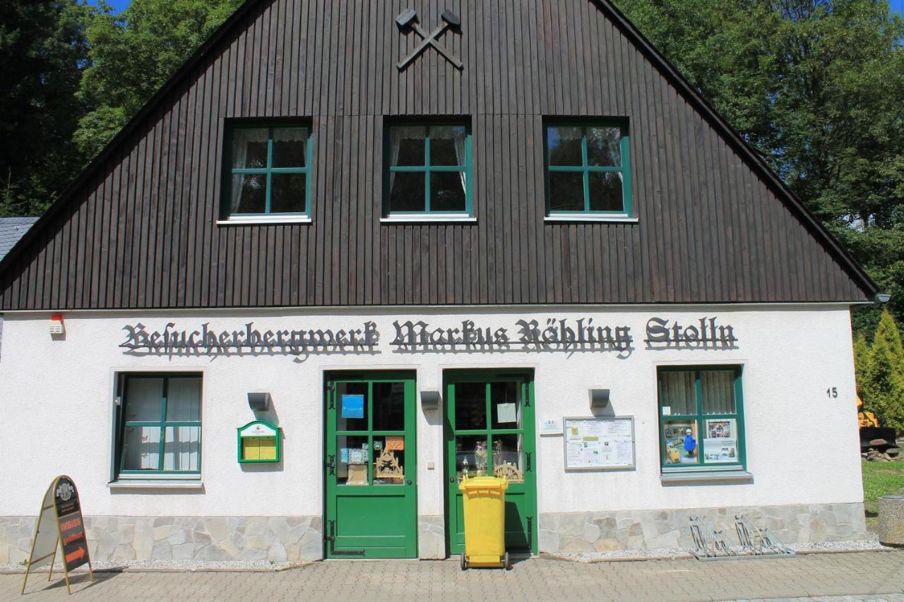 Appartements Im "Landhaus Am Frohnauer Hammer" Аннаберг-Бухгольц Экстерьер фото