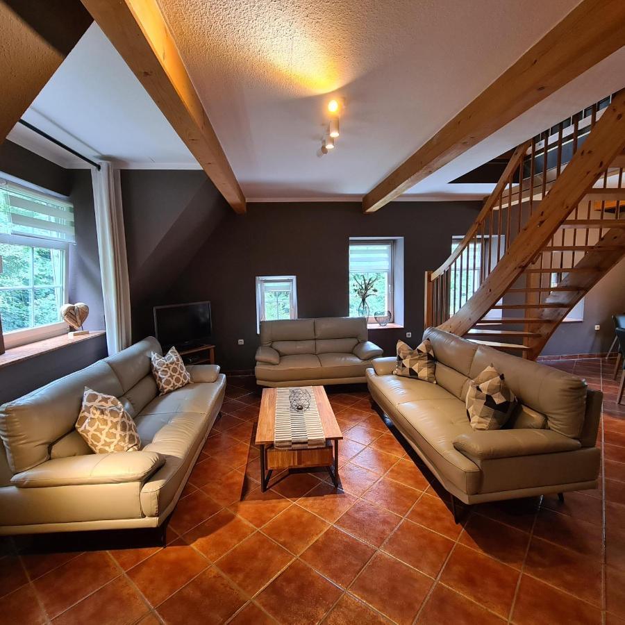 Appartements Im "Landhaus Am Frohnauer Hammer" Аннаберг-Бухгольц Экстерьер фото