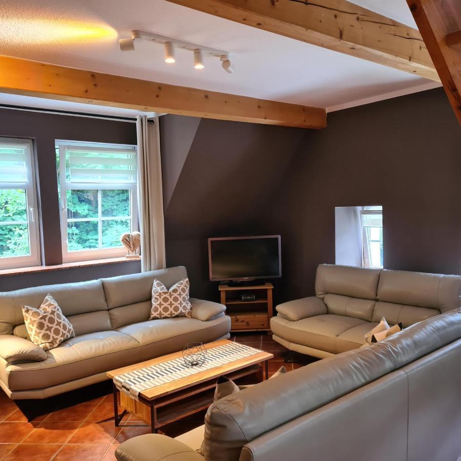 Appartements Im "Landhaus Am Frohnauer Hammer" Аннаберг-Бухгольц Экстерьер фото